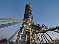 Экспертные услуги